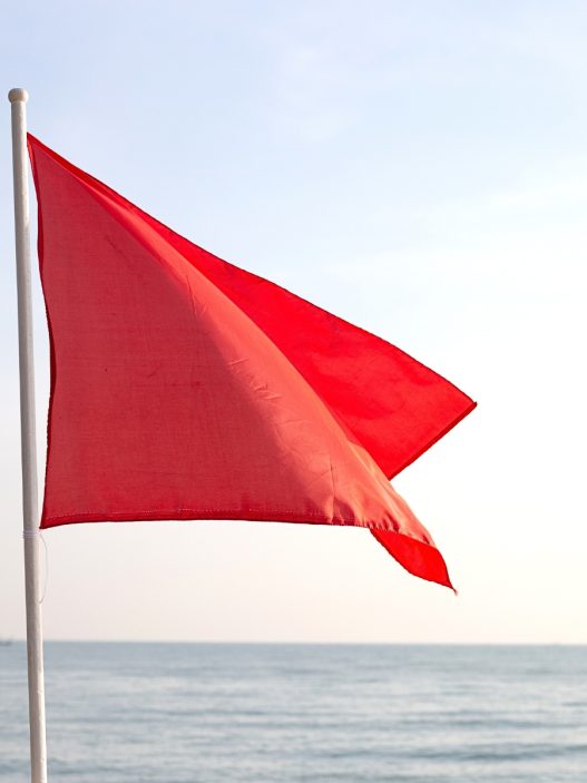 a red flag on the beach with the ocean in the background